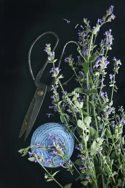 Blooming mint, scissors and thread on a dark background — Stock Photo, Image