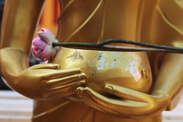 Buddha's Hands with a cup and a lotus flower - Thailand — Stock Photo, Image