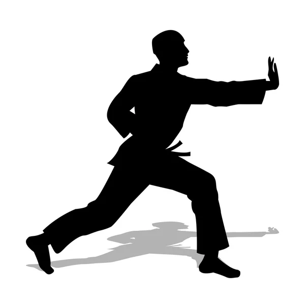 Silhouette de judo — Image vectorielle