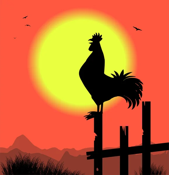 Silhouette of rooster — Stock Vector