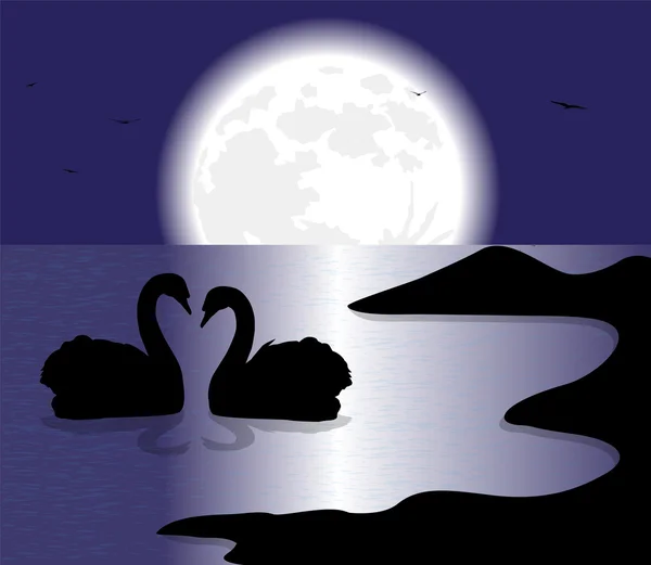 Swans silhouette — Stock Vector