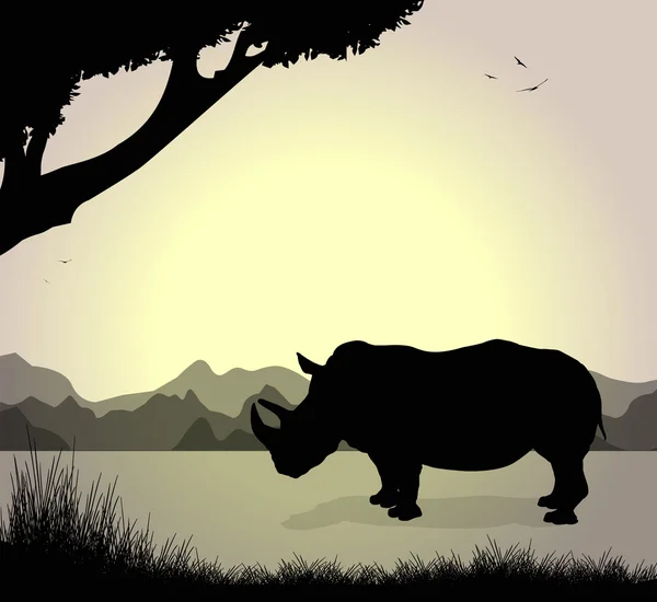 Rhinoceros — Stock Vector