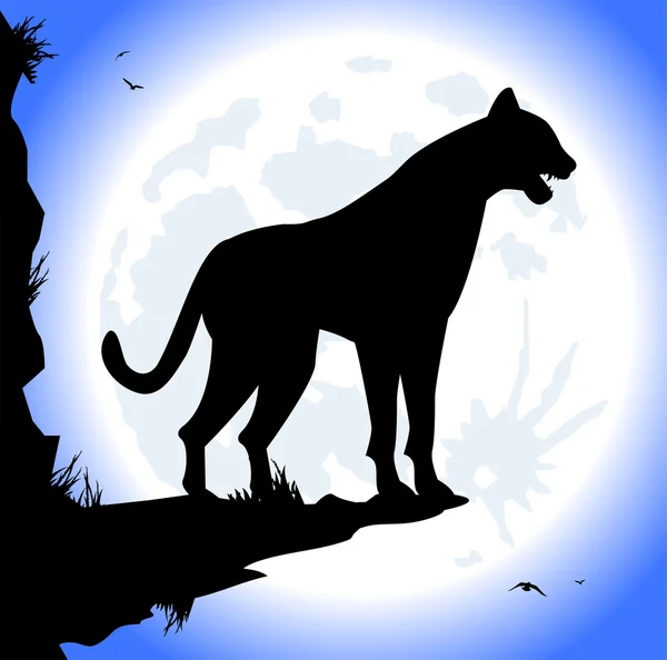 Silhouet van panther's nachts — Stockvector