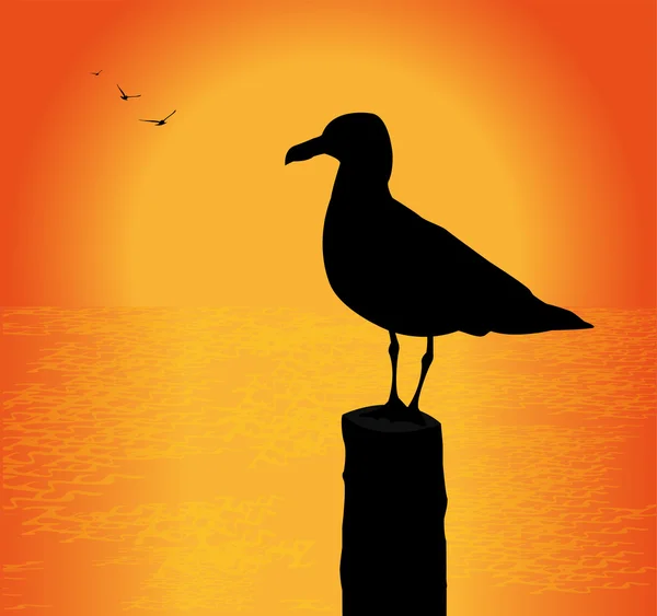 Silhouette de mouette — Image vectorielle