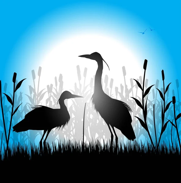 balıkçıllar silüeti