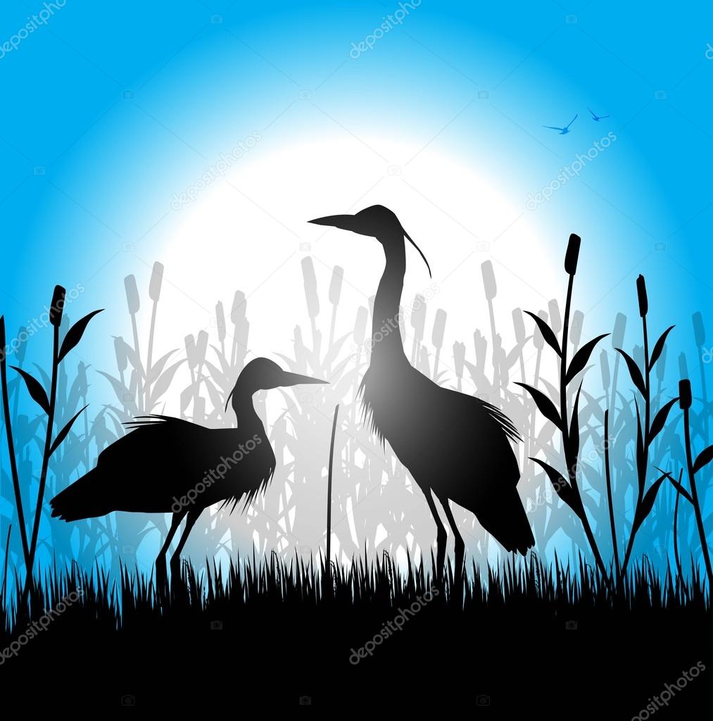silhouette of herons