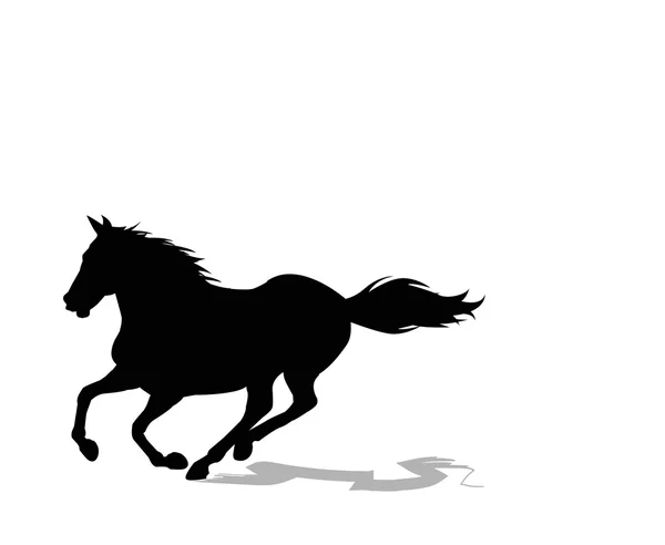 Caballo sobre fondo blanco — Vector de stock