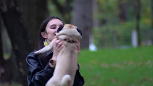 Chica Joven Está Jugando Con Pug Parque Ciudad — Vídeo de stock