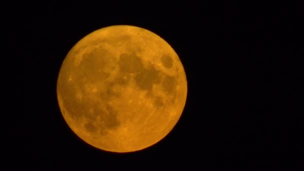 Luna Piena Vola Attraverso Cielo Notturno — Video Stock