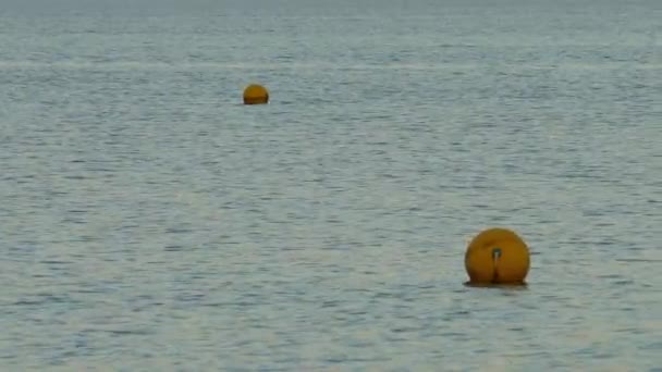 Boyas Amarillas Flotan Mar Tranquilo — Vídeo de stock
