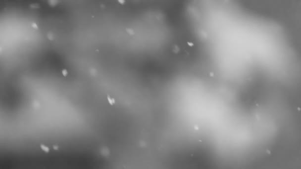 雪の背景 — ストック動画
