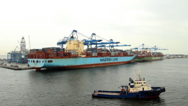 Navire porte-conteneurs dans le port — Video