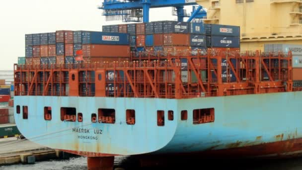 Embarcación de contenedores en puerto — Vídeos de Stock