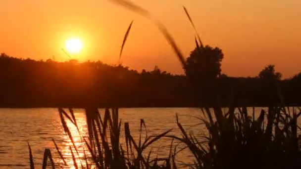 Západ slunce na jezeře — Stock video