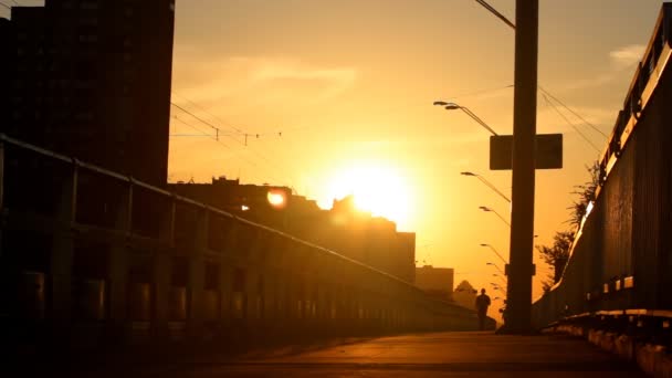 Passeggiata sul ponte — Video Stock