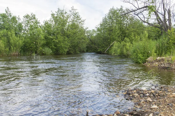 ormanda çalışan bir nehir