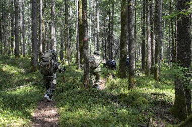 İnsanlar ormanda yürüyor.