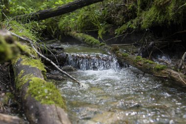 Tayga çöllerinde akarsu akar.