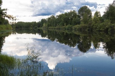 Göletin etrafındaki ağaçlar