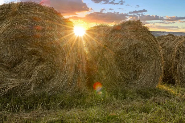 Feno Rolos Campo — Fotografia de Stock