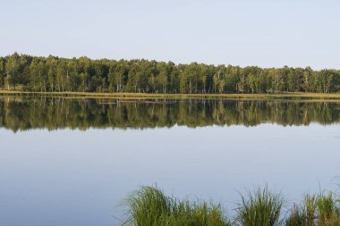 Göl kenarındaki manzara ağaçları