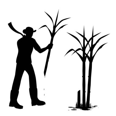 Tarımcı çizgi film biçimi hasat biçimi şeker kamışı bitki tasarımı