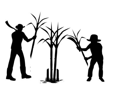 Çiftçilerin vektör çizimi