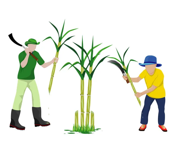 Projekt Ilustracji Wektora Rolniczego — Wektor stockowy