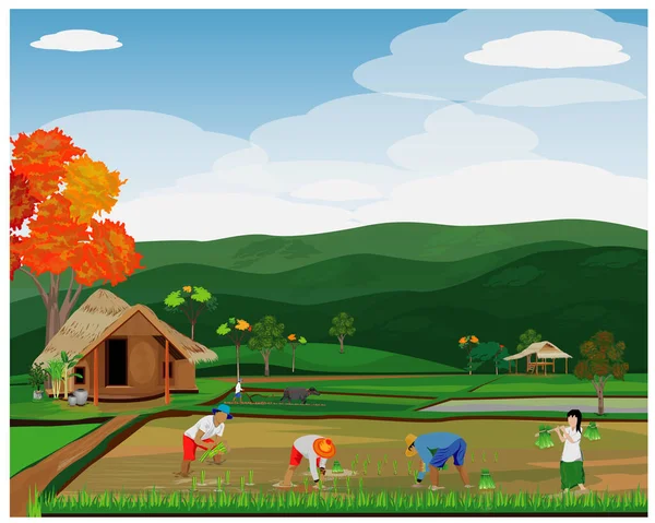 Farmers Vector Illustration Design — Stock Vector