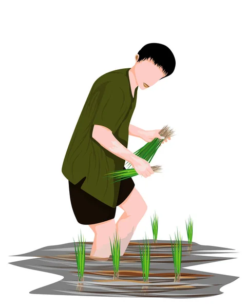 Ilustración Agricultor Asiático — Vector de stock
