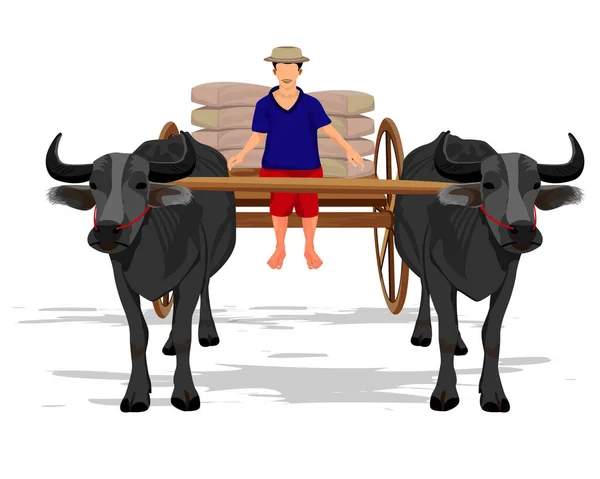 Ilustrace Asijského Zemědělce — Stockový vektor