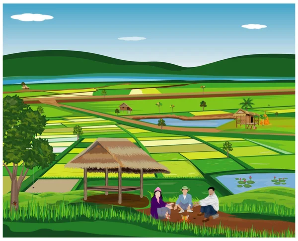 Vector Illustration Farm Field — Stock Vector