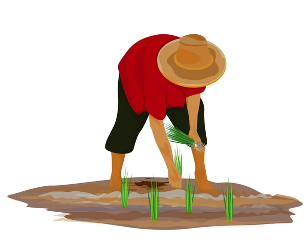 Illustration Agriculteur Asiatique — Image vectorielle