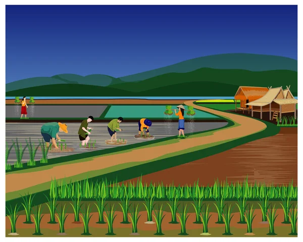 Paysage Agricole Avec Champ Arbres Une Clôture — Image vectorielle
