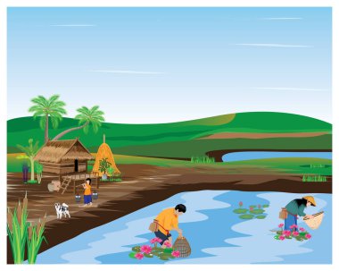 Piknik için arka planın vektör çizimi