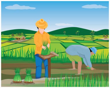 Tarlada bir sepet pirinçle çiftçi