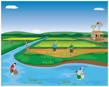 Çizgi film çiftliğinin vektör çizimi