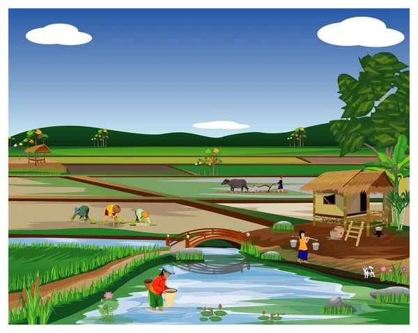 Boerenlandschap Met Een Veld Van Bomen Een Hek — Stockvector