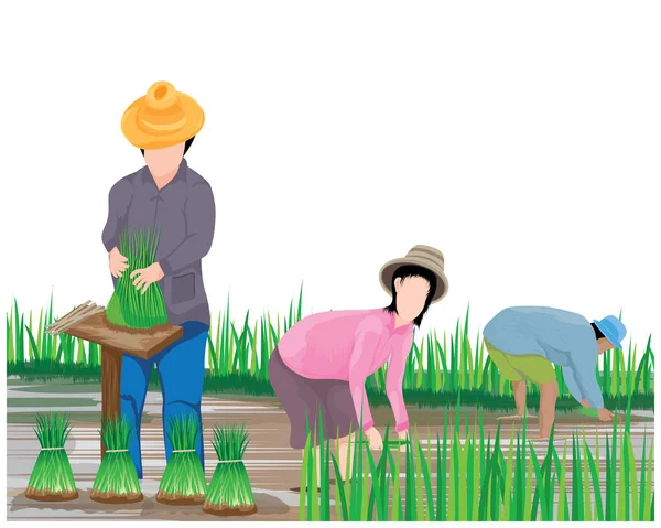 农夫和女人在田里 戴着草帽 头戴耙 矢量说明 — 图库矢量图片