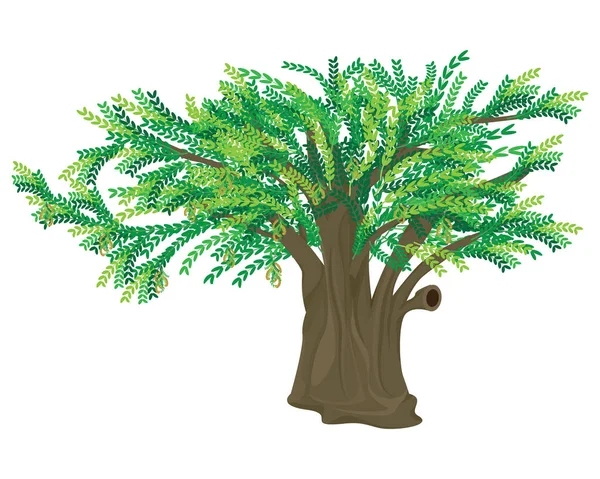 Beyaz Arkaplanda Yaprakları Olan Yeşil Ağaç — Stok Vektör