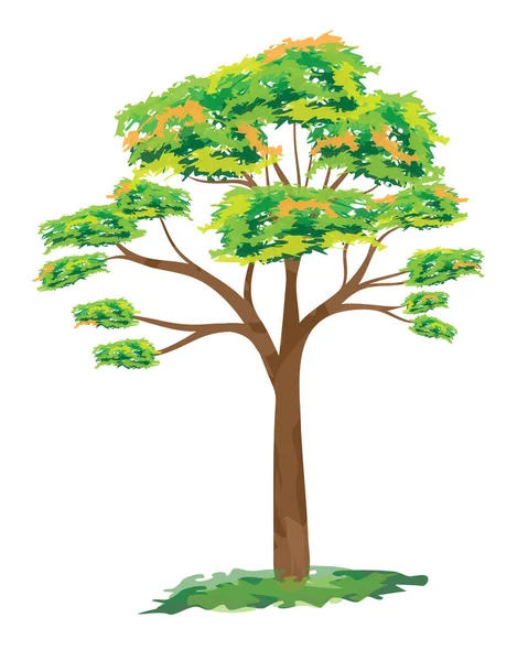 Illustration Eines Baumes Mit Einer Grünen Pflanze — Stockvektor