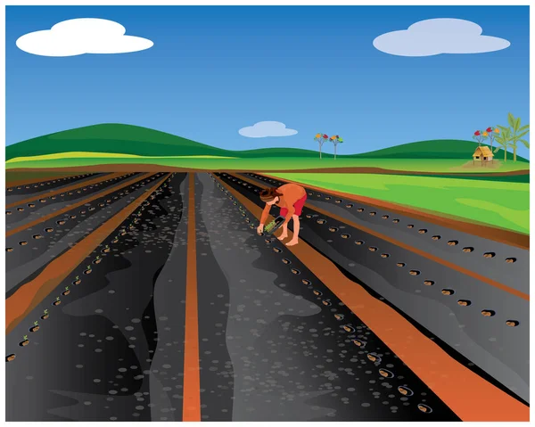 Illustrazione Vettoriale Una Strada Con Treno — Vettoriale Stock
