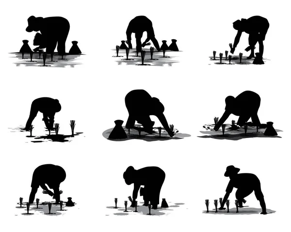 Vector Illustration Elephants Silhouettes — Archivo Imágenes Vectoriales