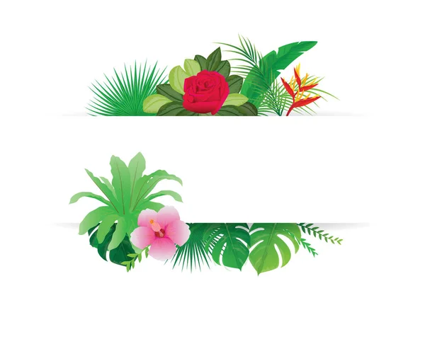 Flores Hojas Tropicales Ilustración Vectorial — Vector de stock
