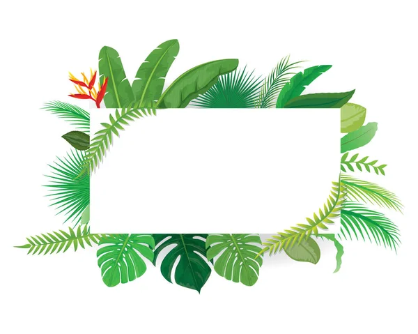 Tropické Listy Palmový List Vektorová Ilustrace — Stockový vektor