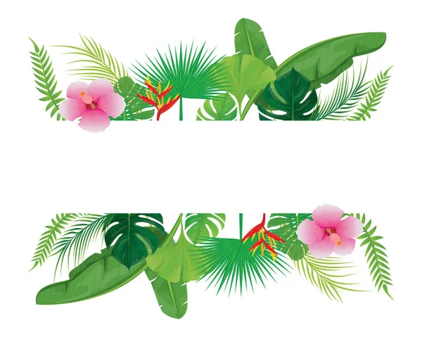 Tropické Listy Sady Květin Vektorová Ilustrace — Stockový vektor