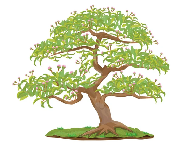 Yeşil Yapraklı Ağaç Bir Bitki — Stok Vektör