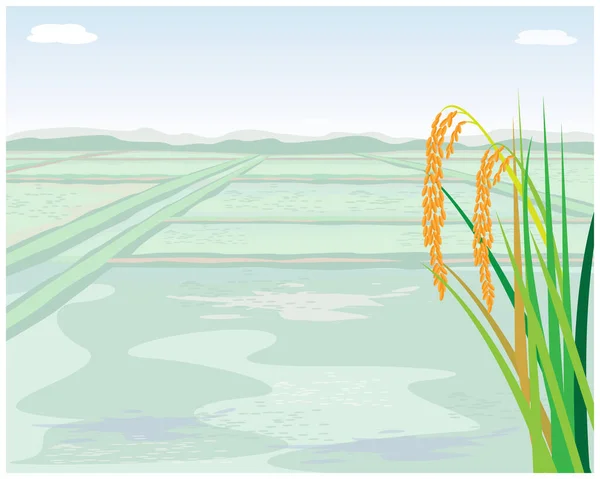 Illustration Beautiful Landscape Field Wheat — Vector de stock