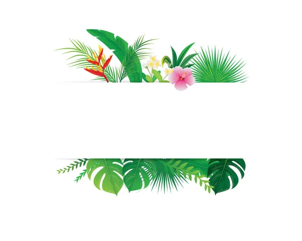 Folhas Flores Tropicais Ilustração Vetorial Vetores De Stock Royalty-Free