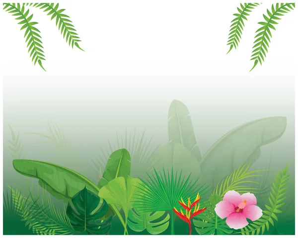 Ілюстрація Тропічної Рослини Зеленим Листям Векторна Графіка
